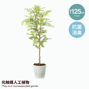 フェイクグリーン 観葉植物 人工観葉植物 ドラセナ 高さ140cm 鉢付き