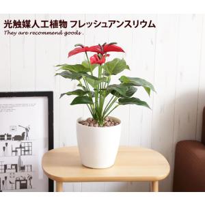 Fresh Anthurium フレッシュアンスリウムM 人工植物 観葉植物 光触媒 水やり不要 お手入れ不要 グリーン リアル