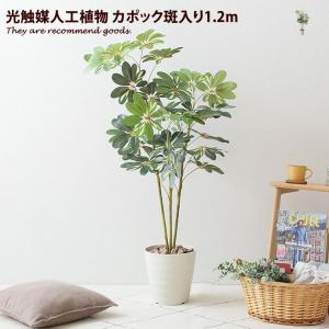 取寄品】 フェイクグリーン 光触媒 胡蝶蘭7本立 白 85cm 人工観葉植物
