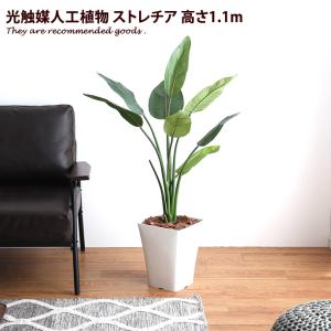 人工観葉植物 フェイクグリーン 高さ1.7m 人工植物 光触媒 インテリア