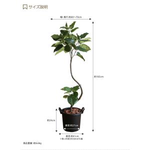 人工観葉植物 フェイクグリーン 高さ1.65m...の詳細画像2