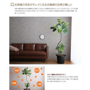 人工観葉植物 フェイクグリーン 高さ1.65m...の詳細画像3