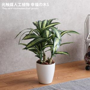 観葉植物 シーグレープ sea grape 室内 イミテーショングリーン : 家具