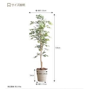 高さ1.3m 光触媒 フェイクグリーン 観葉植...の詳細画像2