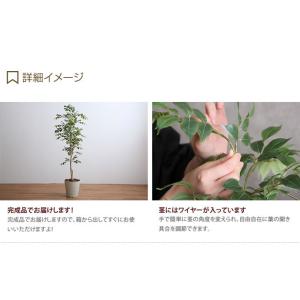 高さ1.3m 光触媒 フェイクグリーン 観葉植...の詳細画像5