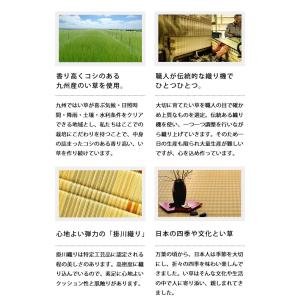 い草 花ござ 江戸間8畳 348×348cm ...の詳細画像4