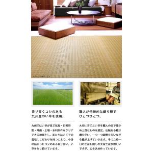 い草 花ござ 江戸間8畳 348×348cm ...の詳細画像3