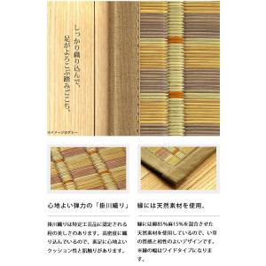 い草 花ござ 江戸間8畳 348×348cm ...の詳細画像4