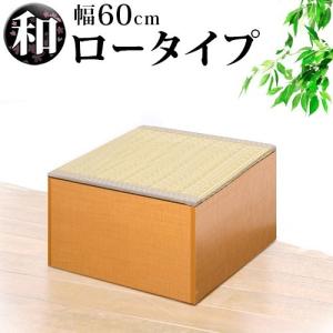 畳ベンチ 横幅60 PP樹脂製畳 畳収納 ロータイプ 藤香 高床式畳収納