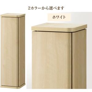 玄関収納 扉付き 幅19 小物収納 スリム 掃...の詳細画像5