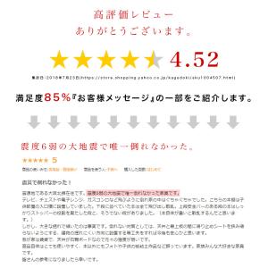 本棚 壁面システム収納 扉付き 大容量 耐震 ...の詳細画像3