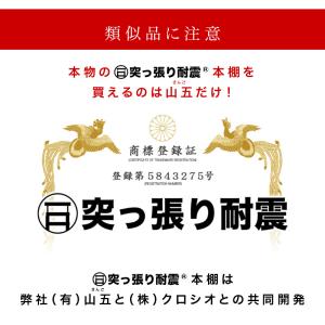 本棚 壁面システム収納 扉付き 大容量 耐震 ...の詳細画像4