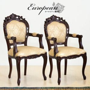 チェアー 椅子 マホガニー ひじ付き アンティーク 猫脚 ブラウン 送料