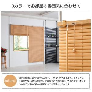 つっぱりブラインドパーテーション ダブルタイプ...の詳細画像2