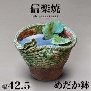 睡蓮鉢 信楽焼き 陶器 めだか鉢 蛙付 幅34 高さ16 すいれん鉢 gws NHK