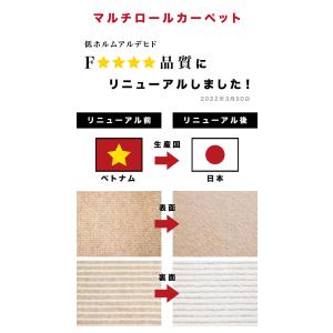 日本製 カーペット 廊下用 幅60cm×6M ...の詳細画像1