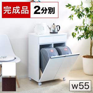 dinos（ディノス） ステンレス製ダストボックスワゴン 2分別タイプ