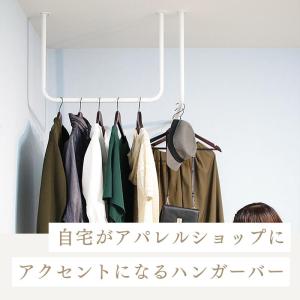 ハンガーバー アイアンバー 吊り下げ 天井 パ...の詳細画像2