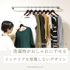 ウォールハンガー 壁掛け ハンガーバー アイア...の詳細画像2