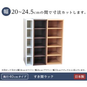 隙間収納 棚 オーダー 20 20.5 21 ...の詳細画像1