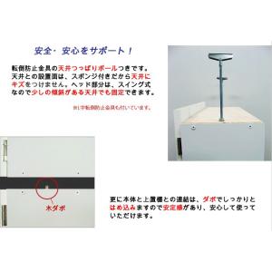 壁面収納 奥行24 5 高さ55 扉の高さ60 Dタイプ 上置棚 リビング収納 つっぱり キッチン収納 つっぱり 上置き 日本製 幅60 本収納 Av 収納 壁面収納 日本製 扉付き 収納棚