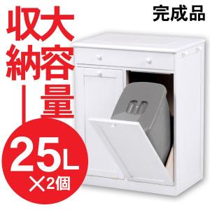 ダストボックス 分別 ダストボックス おしゃれ 分別ダストボックス 分別 ゴミ箱 キッチン ふた付き 2分別 25L×2個