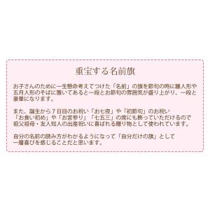 名前旗 刺繍 ひな祭り 名入れ 出産祝い 初節...の詳細画像1