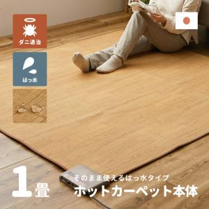 フローリング調 ホットカーペット 1畳用 98x200 / 木目調 撥水 防水