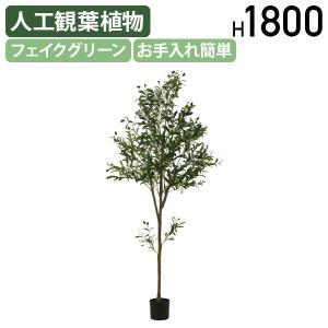 ジョイント式フェイクグリーン オリーブ W600...の商品画像