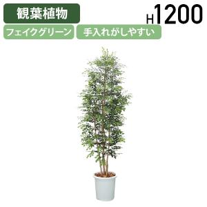 トネリコ W700 D700 H1200 フェイクグリーン 人工観葉植物 観葉植物 フェイク 造花 観葉樹 室内 植木 衛生的 受注生産 代引不可 法人宛限定 HBY-ASH-12