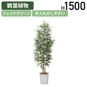 トネリコ W750 D750 H1500 フェイクグリーン 人工観葉植物 観葉植物 フェイク 造花 観葉樹 室内 植木 衛生的 受注生産 代引不可 法人宛限定 HBY-ASH-15