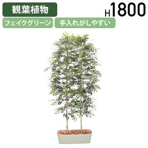 トネリコパーテーション W1000 D800 H1800 フェイクグリーン 人工観葉植物 観葉植物 フェイク 造花 観葉樹 室内 受注生産 代引不可 法人宛限定 HBY-ASP-18