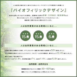 トネリコパーテーション W1000 D800 ...の詳細画像2