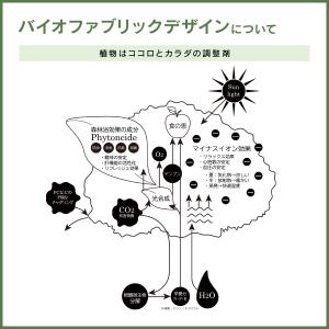 トネリコパーテーション W1000 D800 ...の詳細画像3