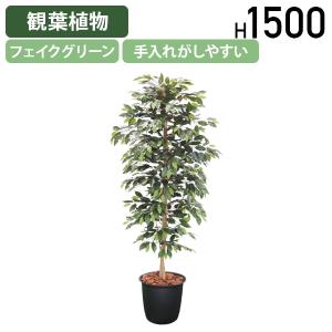 ベンジャミン W750 D750 H1500 フェイクグリーン 人工観葉植物 観葉植物 フェイク 造花 観葉樹 室内 植木 衛生的 受注生産 代引不可 法人宛限定 HBY-BJM-15