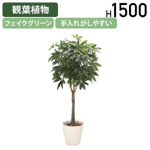 パキラ W800 D800 H1500 フェイクグリーン 人工観葉植物 観葉植物 フェイク 造花 観葉樹 衛生的 室内 受注生産 代引不可 法人宛限定 HBY-PCR-15｜kagukuro