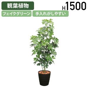 シェフレラ W500 D500 H1500 フェイクグリーン 人工観葉植物 観葉植物 フェイク 造花 観葉樹 室内 植木 衛生的 受注生産 代引不可 法人宛限定 HBY-SHR-15
