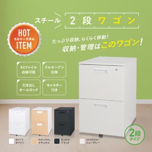 スチール 2段 ワゴン W395 D550 H...の詳細画像1