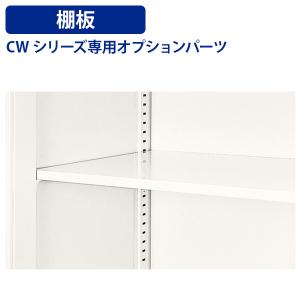 国内メーカー品 CWシリーズ専用棚板 単品 W883 D382 H15 オプションパーツ スチール書庫 収納庫 板 ブラック/ホワイト 代引不可 法人宛限定 NA-SS900M