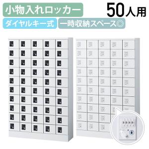国内メーカー品 小物入れロッカー 5列10段50人用 ダイヤル錠 W1000 D300 H1600 個人ロッカー 小物入れロッカー 代引不可 法人宛限定 SF-KLKW50D