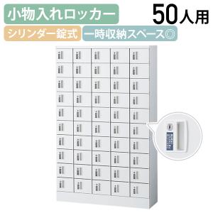 国内メーカー品 小物入れロッカー 5列10段50人用 内筒交換錠 W1000 D300 H1600 個人ロッカー 小物入れロッカー 代引不可 法人宛限定 SF-KLKW50TN