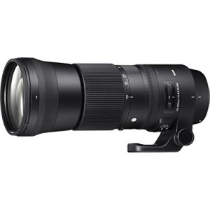 シグマ 150-600mm F5-6.3 DG OS HSM ※キヤノンEFマウント用レンズ(フル シグマ 150-600mm F5-6.3 DG OS HSM ※キヤノンEFマウント用レンズ(フル
