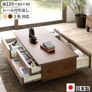 センターテーブル レオ 120収納テーブル 幅120 日本製 ローボード 両