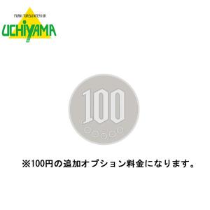 追加オプション料金 100円