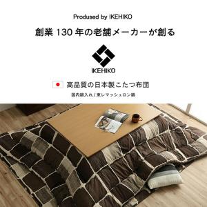 こたつ布団 長方形 おしゃれ 掛け敷きセット ...の詳細画像3