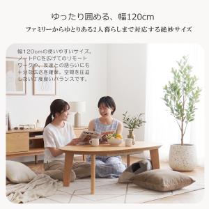 【掛け敷き布団セット】楕円 こたつ 座卓 ロー...の詳細画像3