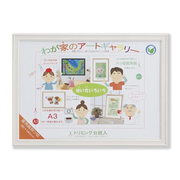 〔 カラー画用紙額 〕 軽い額 画用紙額 四ツ切 540×380mm ホワイト 透明PET付 額 額...