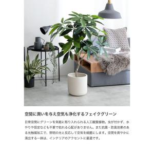送料無料 高さ90cm 光触媒人工観葉植物 パ...の詳細画像2