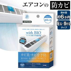 エアコン 防カビ 防臭 除菌 カビ臭予防 お手入れ バイオ BB菌 納豆菌同属 天然 由来 成分 空調 快適 空間 with BIO エアコン用カビ予防剤｜家具RUSH