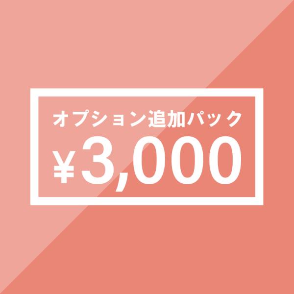 オプション 3000円